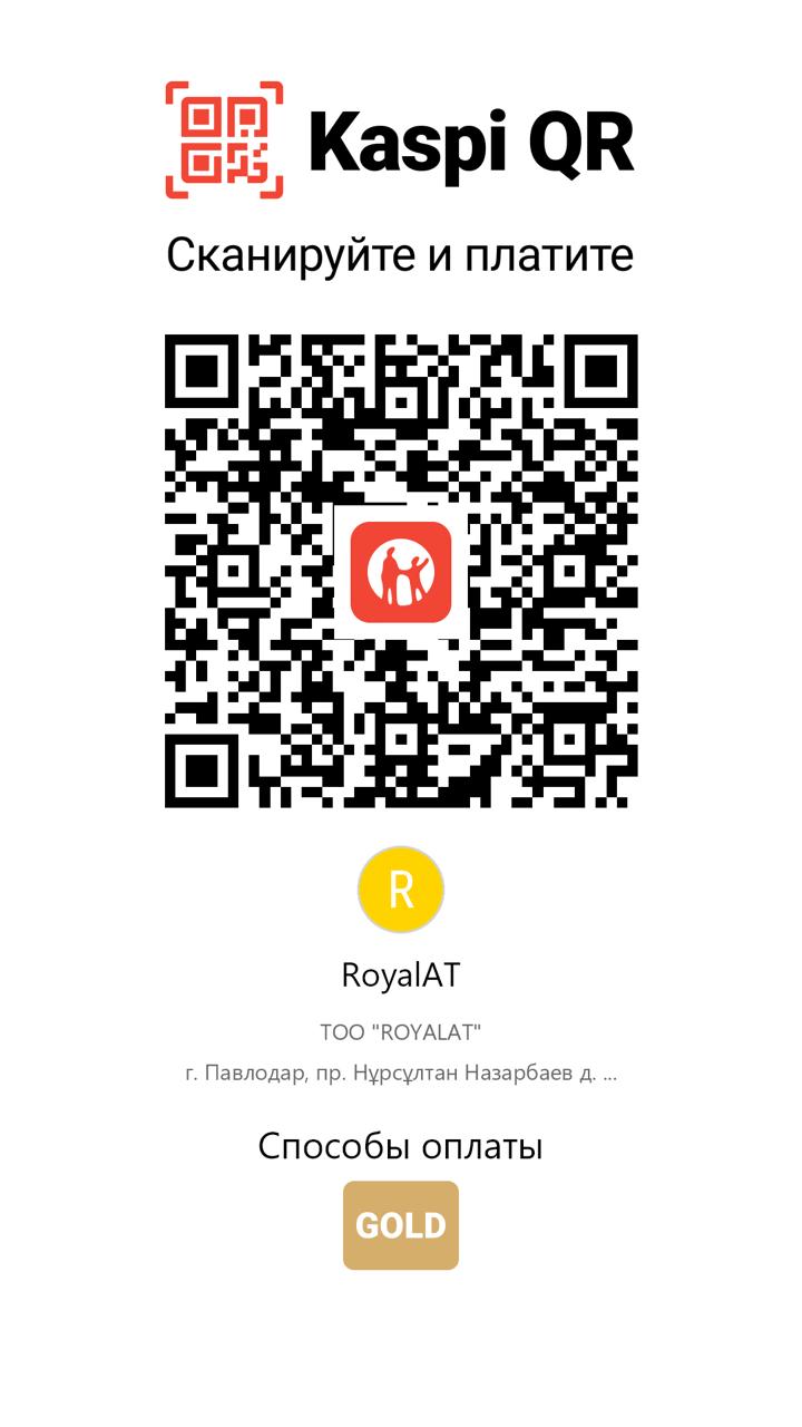 Kaspi QR Code for Lion X School payments